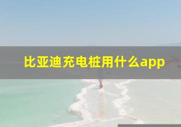 比亚迪充电桩用什么app