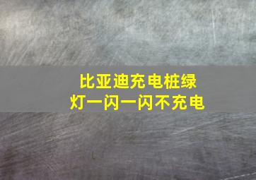 比亚迪充电桩绿灯一闪一闪不充电