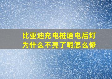 比亚迪充电桩通电后灯为什么不亮了呢怎么修