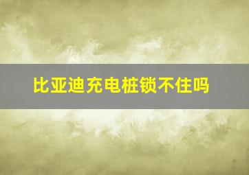 比亚迪充电桩锁不住吗