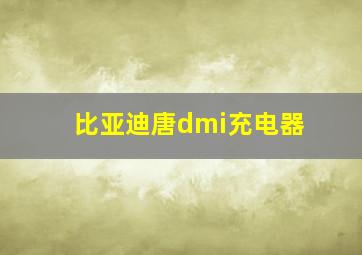 比亚迪唐dmi充电器