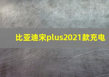 比亚迪宋plus2021款充电