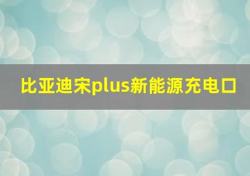 比亚迪宋plus新能源充电口