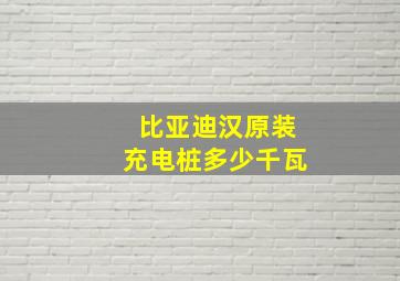 比亚迪汉原装充电桩多少千瓦