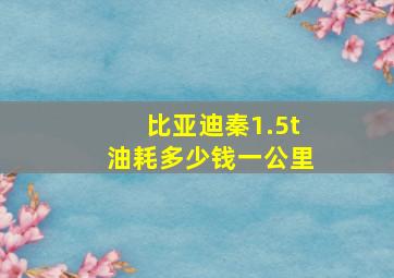 比亚迪秦1.5t油耗多少钱一公里