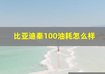 比亚迪秦100油耗怎么样