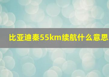 比亚迪秦55km续航什么意思