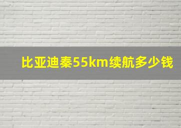 比亚迪秦55km续航多少钱