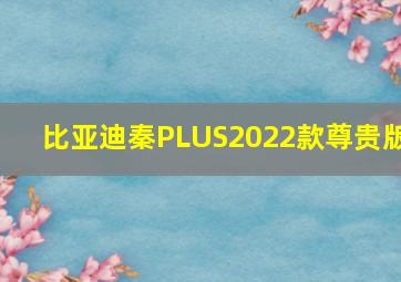 比亚迪秦PLUS2022款尊贵版