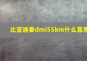 比亚迪秦dmi55km什么意思