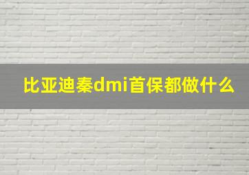 比亚迪秦dmi首保都做什么