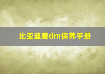 比亚迪秦dm保养手册