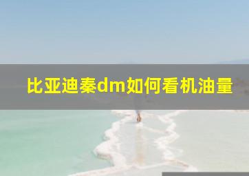 比亚迪秦dm如何看机油量