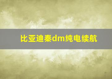 比亚迪秦dm纯电续航