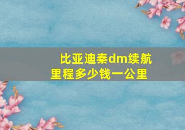 比亚迪秦dm续航里程多少钱一公里