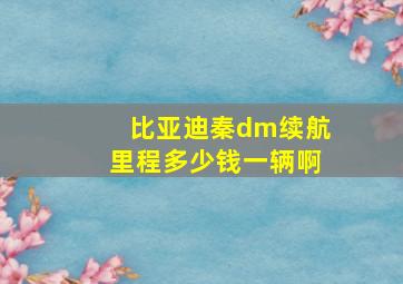 比亚迪秦dm续航里程多少钱一辆啊