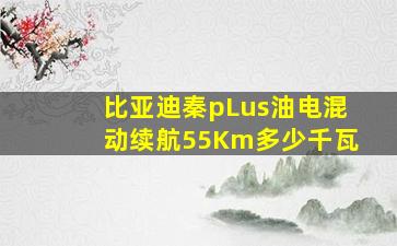 比亚迪秦pLus油电混动续航55Km多少千瓦