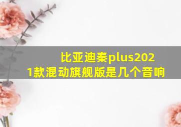 比亚迪秦plus2021款混动旗舰版是几个音响