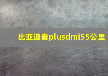 比亚迪秦plusdmi55公里