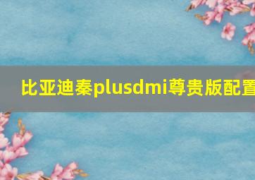 比亚迪秦plusdmi尊贵版配置