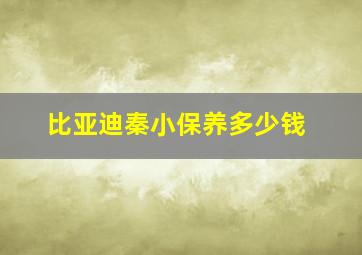 比亚迪秦小保养多少钱