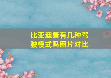 比亚迪秦有几种驾驶模式吗图片对比