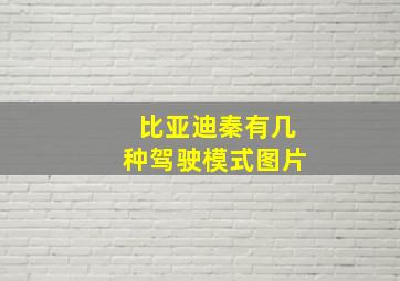 比亚迪秦有几种驾驶模式图片