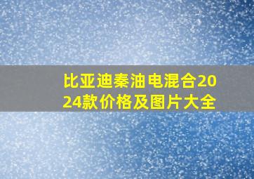 比亚迪秦油电混合2024款价格及图片大全