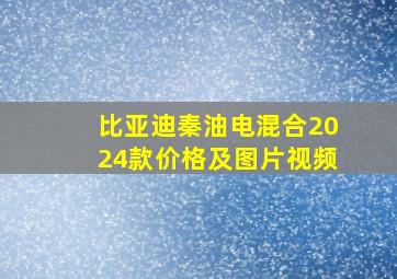 比亚迪秦油电混合2024款价格及图片视频