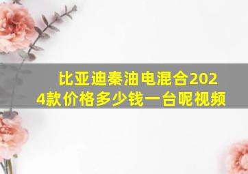 比亚迪秦油电混合2024款价格多少钱一台呢视频