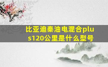 比亚迪秦油电混合plus120公里是什么型号