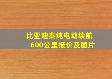 比亚迪秦纯电动续航600公里报价及图片