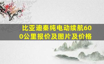 比亚迪秦纯电动续航600公里报价及图片及价格