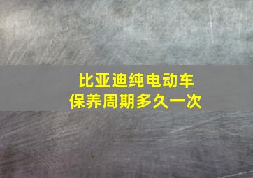 比亚迪纯电动车保养周期多久一次