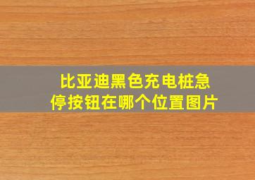 比亚迪黑色充电桩急停按钮在哪个位置图片