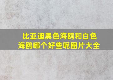 比亚迪黑色海鸥和白色海鸥哪个好些呢图片大全