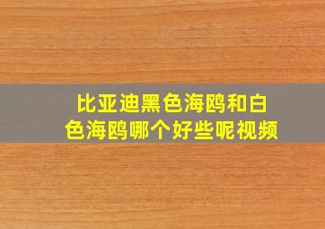 比亚迪黑色海鸥和白色海鸥哪个好些呢视频