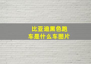 比亚迪黑色跑车是什么车图片