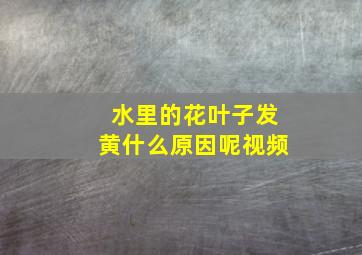 水里的花叶子发黄什么原因呢视频