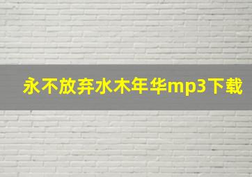 永不放弃水木年华mp3下载