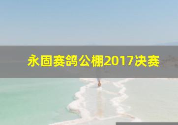 永固赛鸽公棚2017决赛