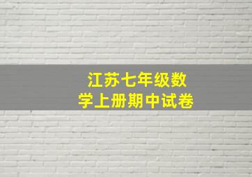 江苏七年级数学上册期中试卷