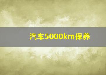 汽车5000km保养