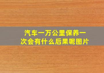 汽车一万公里保养一次会有什么后果呢图片