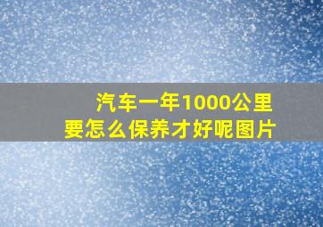 汽车一年1000公里要怎么保养才好呢图片