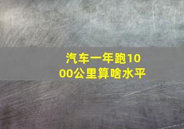 汽车一年跑1000公里算啥水平