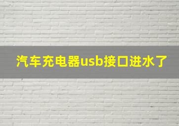 汽车充电器usb接口进水了