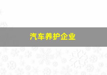 汽车养护企业