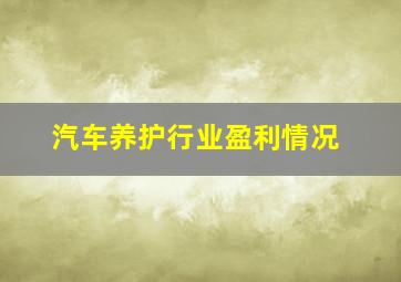 汽车养护行业盈利情况