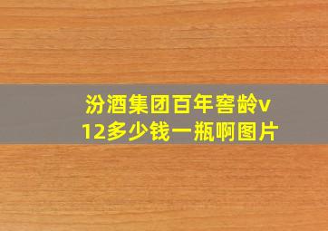 汾酒集团百年窖龄v12多少钱一瓶啊图片